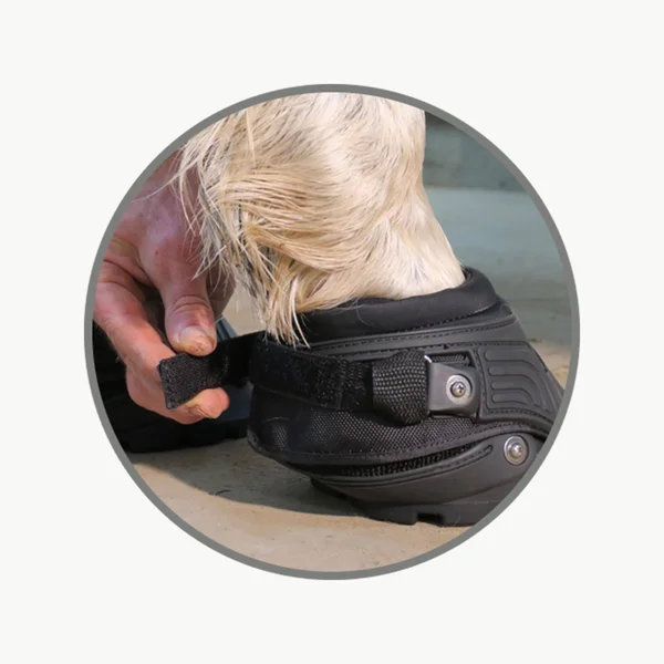 Easyboot Back Country Hoof Boot