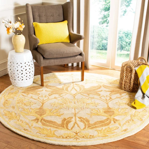 Safavieh Anatolia AN541B Area Rug - Ivory/Gold, Size: 6 x 9 ft.