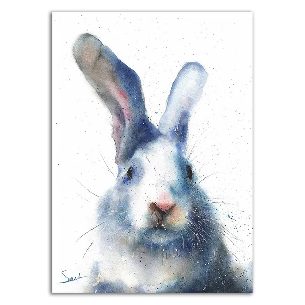 Tangletown Fine Art 26x22 x 18x22 White Rabbit by Eric Sweet Print on Canvas