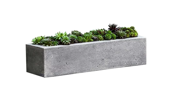 Campania International Basic Element Natural Planter