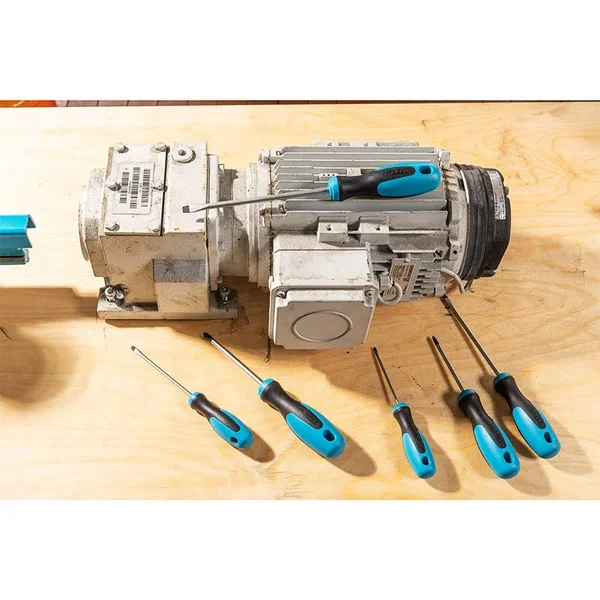 Hazet 163-265/6 Screwdriver Set