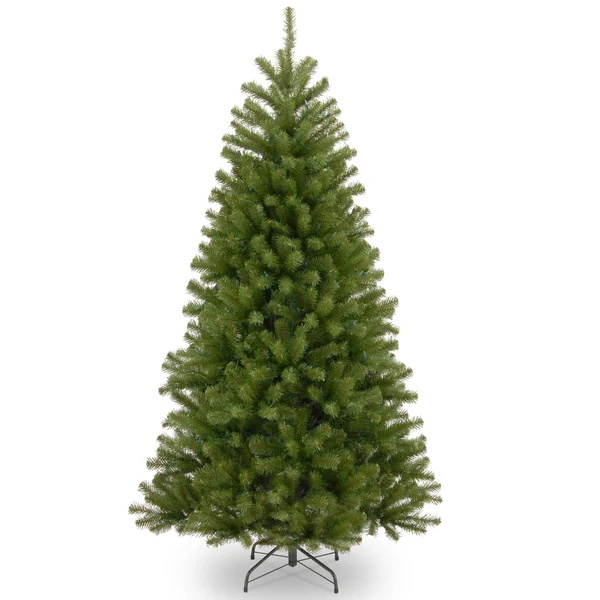 National Tree 6.5& North Valley Spruce Tree