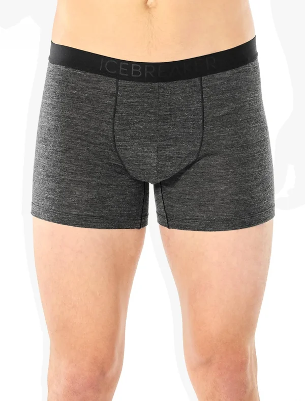 Icebreaker Men's Anatomica Cool-Lite Boxers Black S