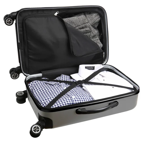 NBA Sacramento Kings Carry-On Hardcase Spinner, Silver