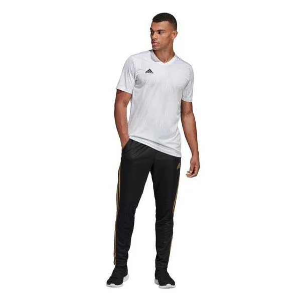 Adidas - Men's Tiro 19 Training Pants (Black, Reflective Gold)