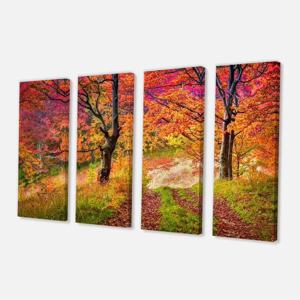 Design Art &Bright Colorful Fall Trees in Forest& Photographic Print on Wrapped Canvas, Size: 30 inch x 40 inch, Orange