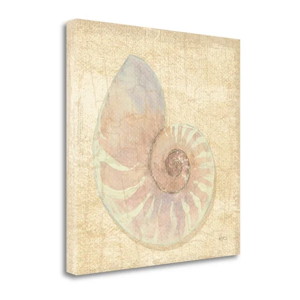 Giclee on Gallery Wrap Canvas Tropical Island Shell I by Veronique Charron Brown 24x22 x 24x22, Cotton