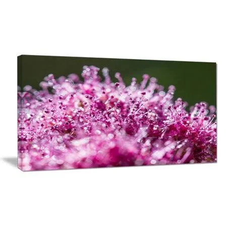 Design Art Pink Little Flowers Close-up View - Large Floral Wall Art Canvas, 40 in. Wide x 20 in. High