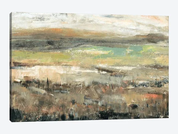 Grassland Showers I Canvas Artwork Print by Tim OToole ( scenic & landscapes art)