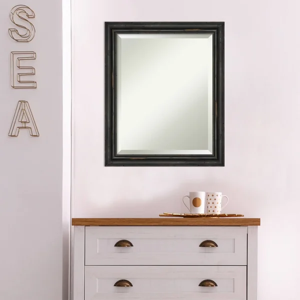 Amanti Art Narrow Rustic Black Pine 21x22 x 27x22 Framed Wall Mirror