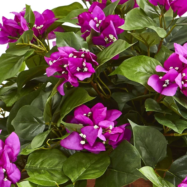 Nearly Natural Bougainvillea Artificial Plant in Hanging Basket
