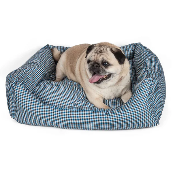 Pet Life Wick-Away Nano-Silver and Anti-Bacterial Water Resistant Rectangular Dog Bed - Dark Brown - Large
