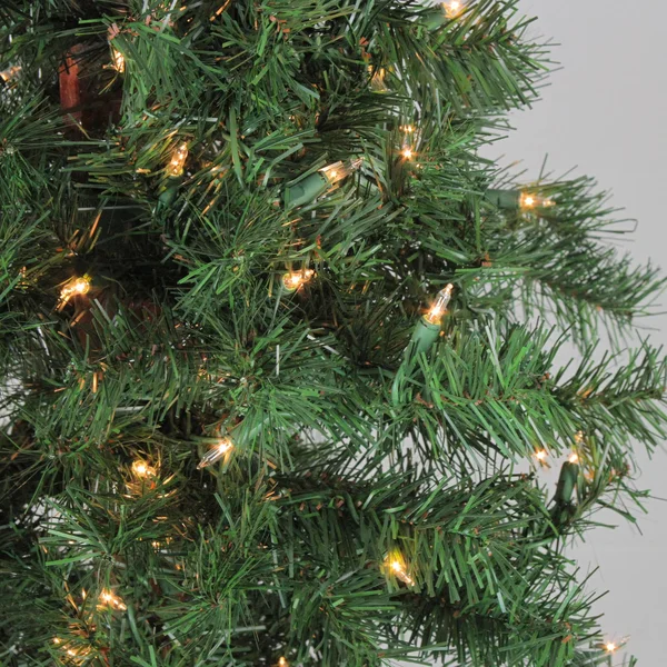 Northlight Set of 3 Pre-Lit Woodland Alpine Artificial Christmas Trees 3& 4& and 5& - Clear Lights
